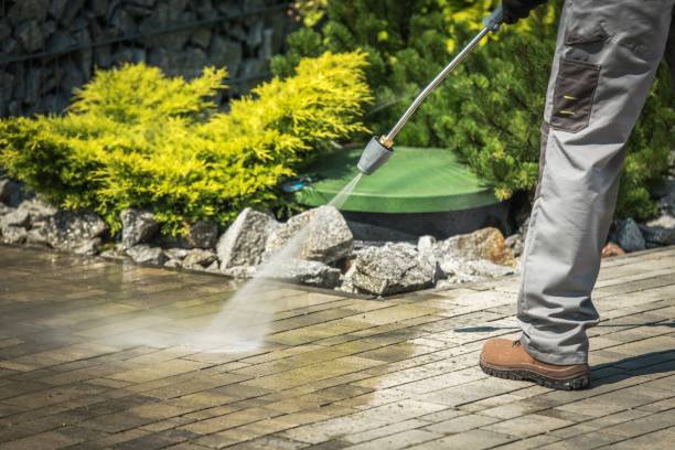 Best Boat and Dock Cleaning  in Crandon, WI
